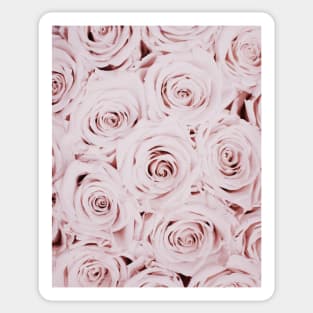 Flowers print, Roses, Pink, Pastel, Fashion print, Scandinavian art, Modern art, Wall art, Print, Minimalistic, Modern Sticker